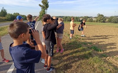 Ornitologiczny spacer