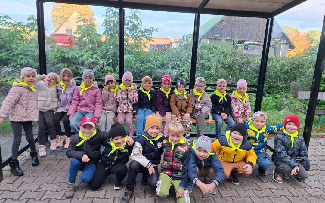 Wycieczka Starszaków do Kina Zachód