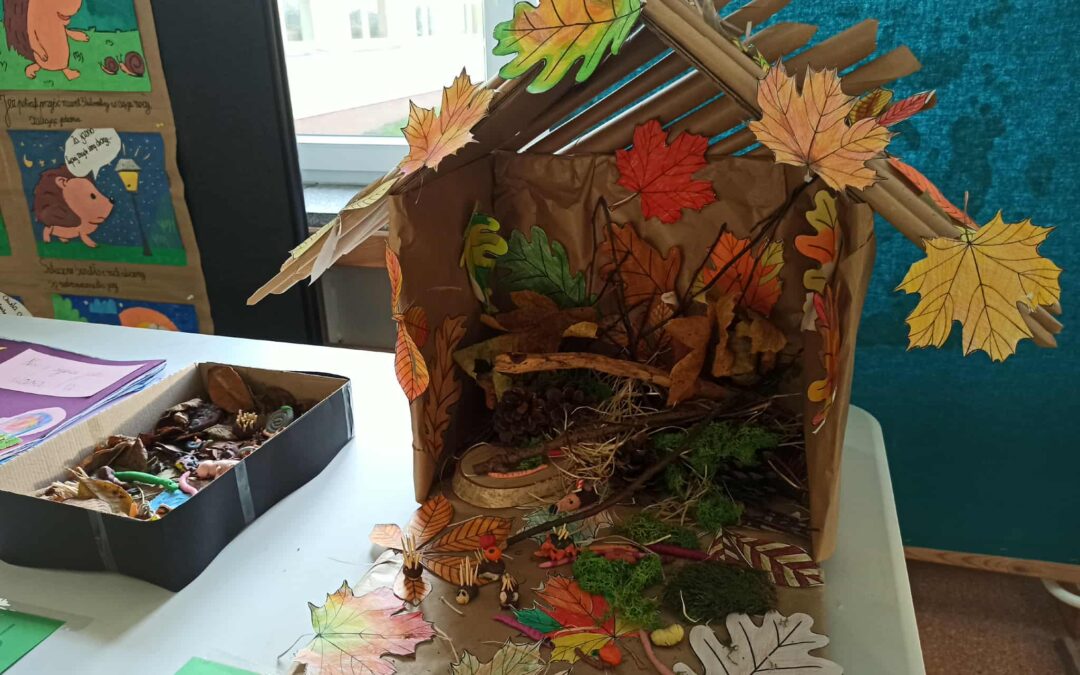 Dokąd tupta nocą jeż…