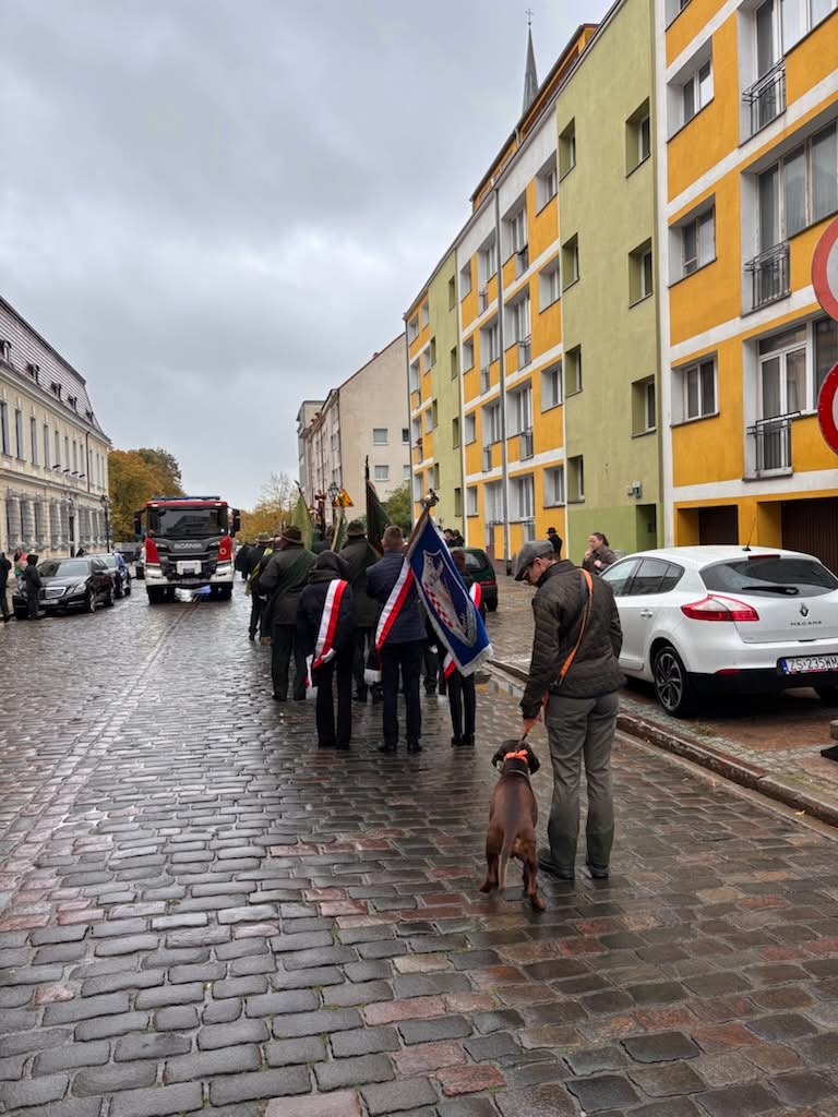 Wypatrzcie czworonożnego uczestnika — pełen profesjonalizm!